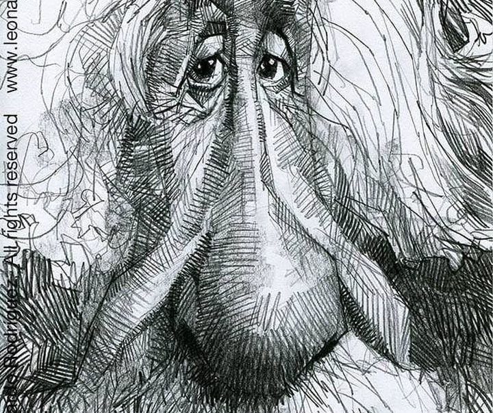 Gallery of Caricatures by Leonardo Rodríguez-Spain