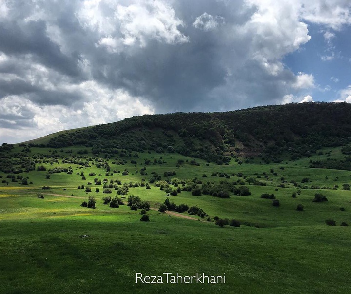 Galley of Photography from Iran by Reza Taherkhani