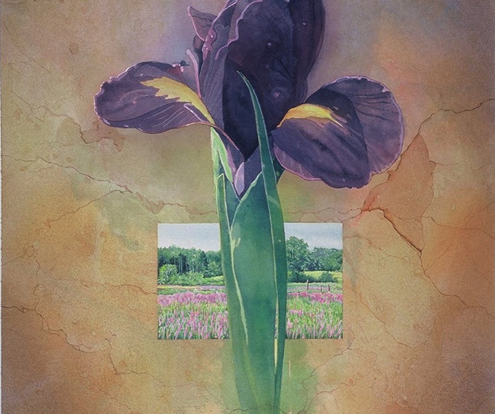 Gallery of Watercolor painting by Irena Roman-USA