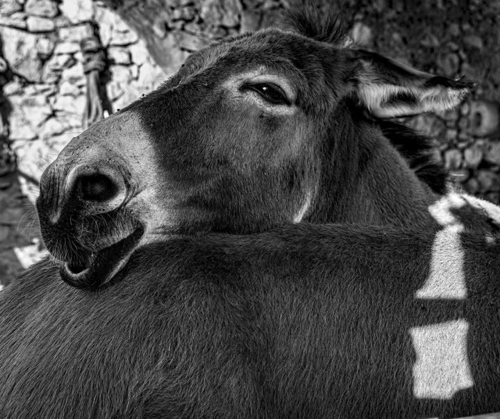 Gallery of Photography by Patrizia Galia - Italy