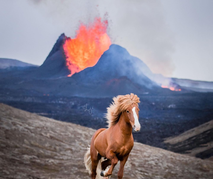 Gallery of photography by Liga Liepina - Iceland