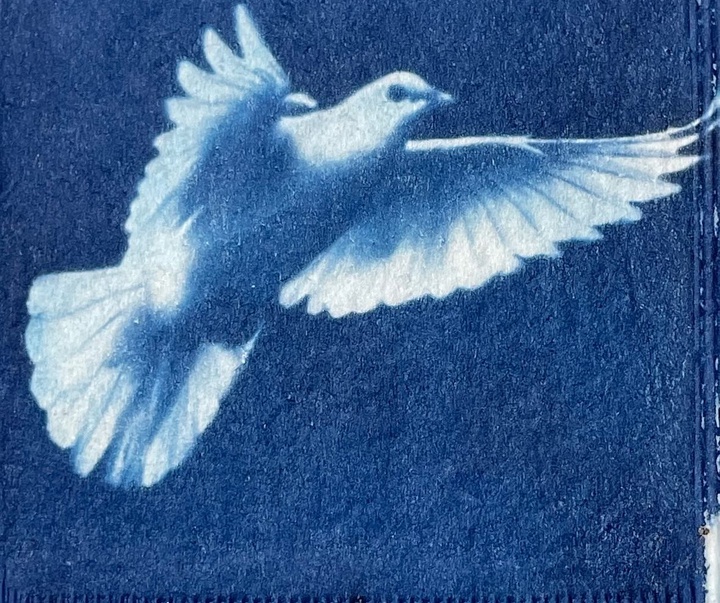 Gallery of Painting & Photography by Jane Constable - UK