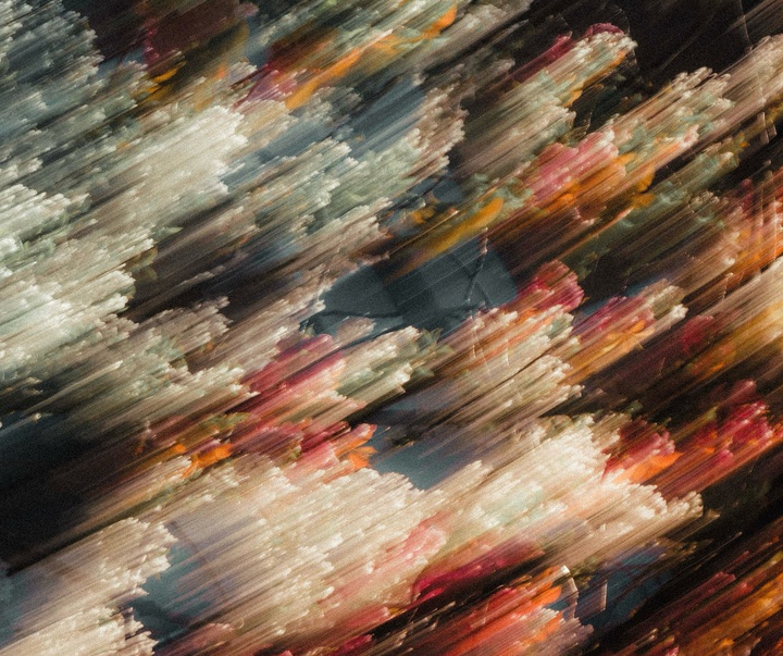 Gallery of Photography by Joe Clarke - UK