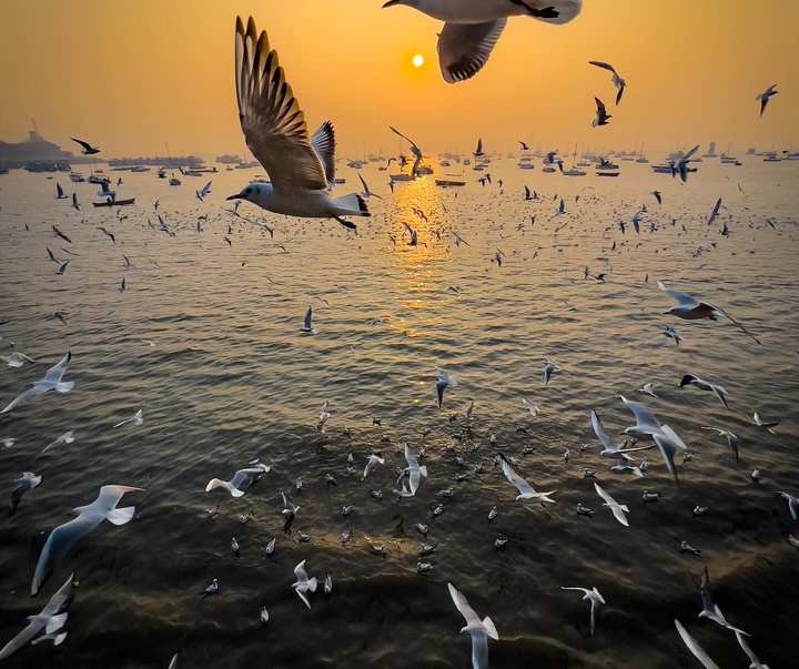 Gallery of Photography by Star Udyawar - India