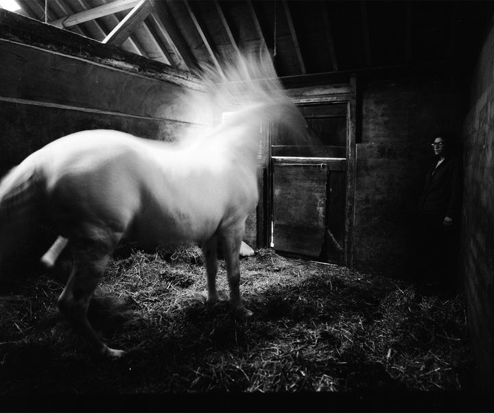 Gallery of Photography by Constance Jaeggi - Switzerland