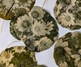 Gallery of Painting & Photography by Jane Constable - UK