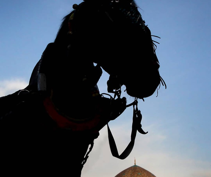 Gallery of Photos by Yadollah Abdi-Iran