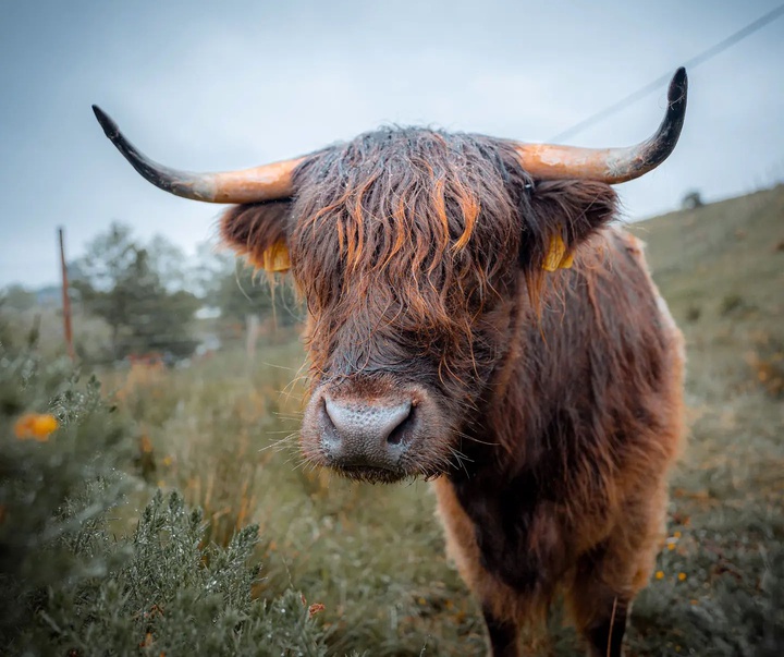 Gallery of Photography by Liam Man - UK
