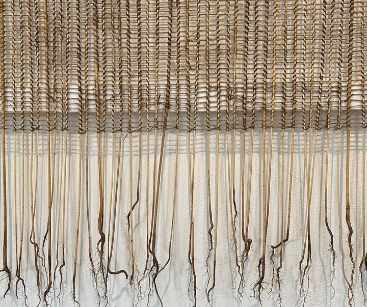 Gallery of Modern Art by Alice Fox - UK