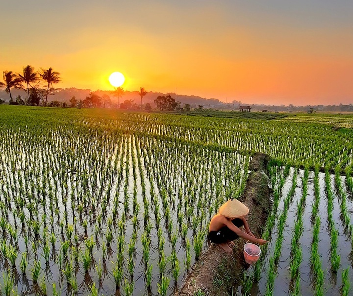 Gallery of Photos by Okka Supardan-Indonesia