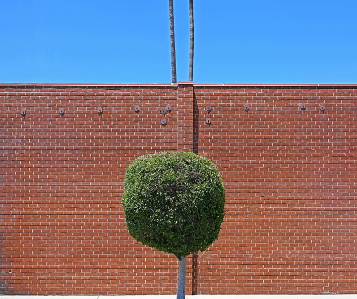 Gallery of Photography by Jim Turner