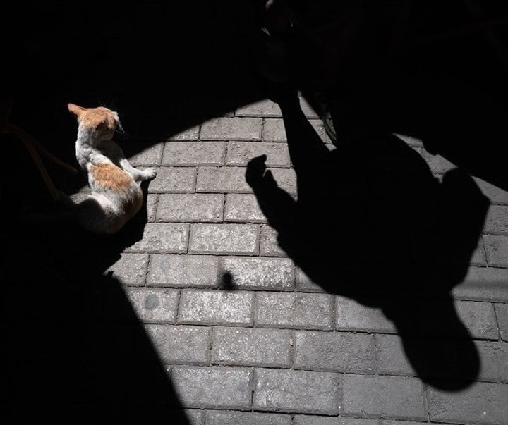 Gallery of Photography by Karlynne Wintels - Netherlands