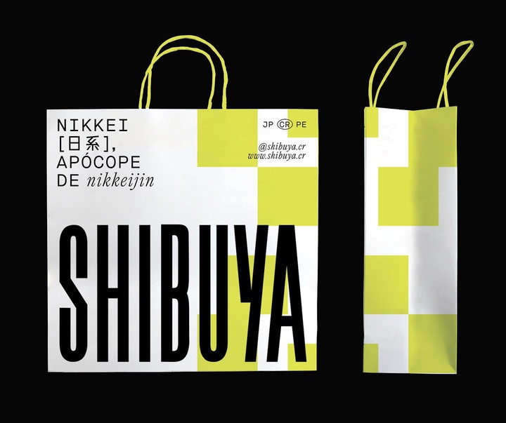 Gallery of Graphics by Paloma Nieri - Peru