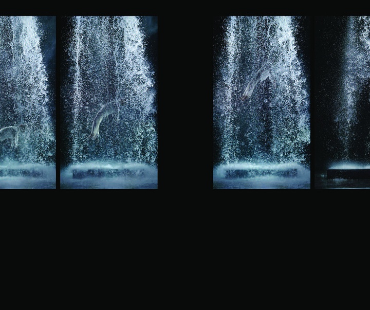 Gallery of Modern Art (Video Art) by Bill Viola - USA