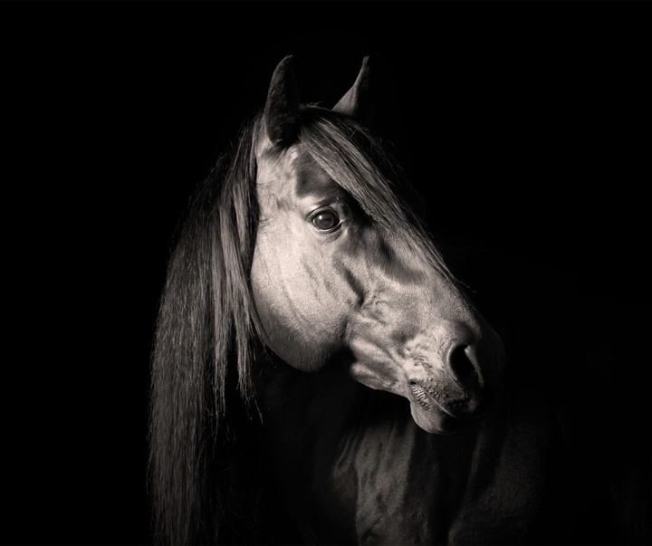 Gallery of Photography by Constance Jaeggi - Switzerland