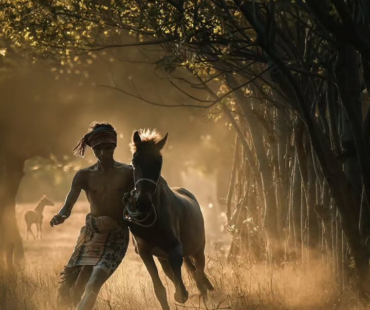 Gallery of Photography by Rarindra Prakarsa - Indonesia