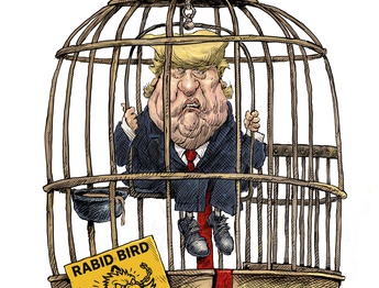 Trump, the Rabid Bird