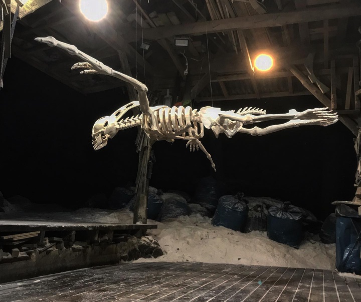 Gallery of Sculpture by Ilkka Virtanen - Finland
