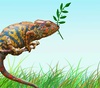 Gallery of cartoon by Constantin Pavel-Romania
