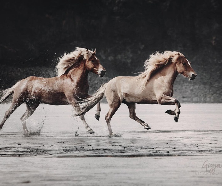 Gallery of Photography by Gigja Einars - Iceland