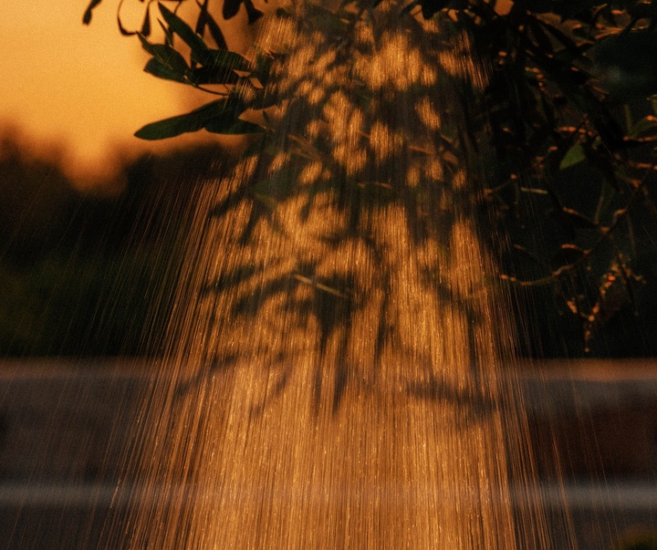 Gallery of Photography by Joe Clarke - UK
