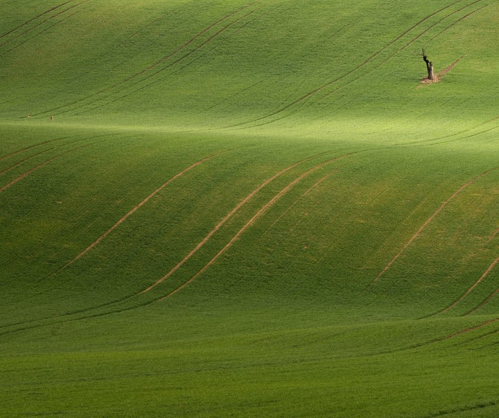 Gallery of photography by Pujan Shadlau - Austria