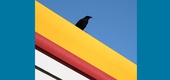 Gallery of Photography by Guido Klumpe - Germany