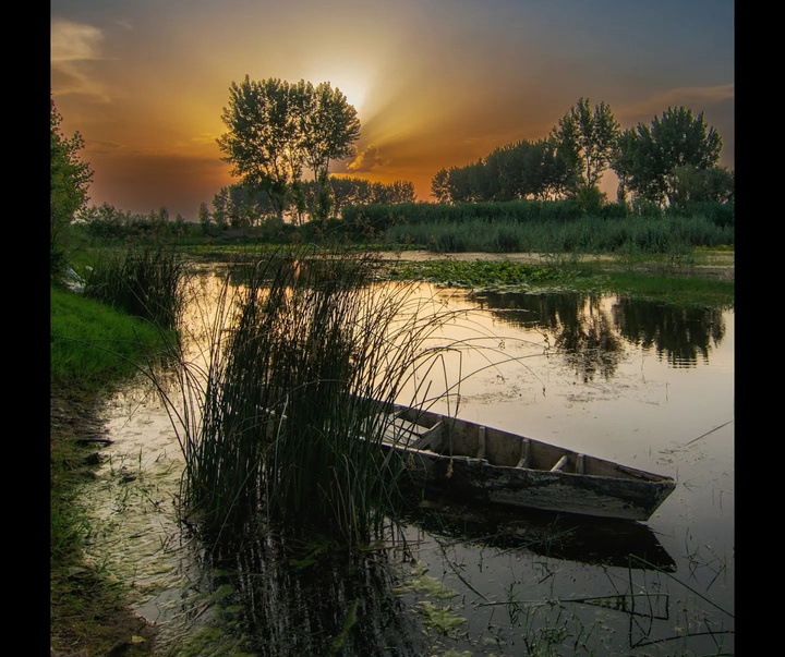 Gallery of Photography by Javad Jahanbin- Iran