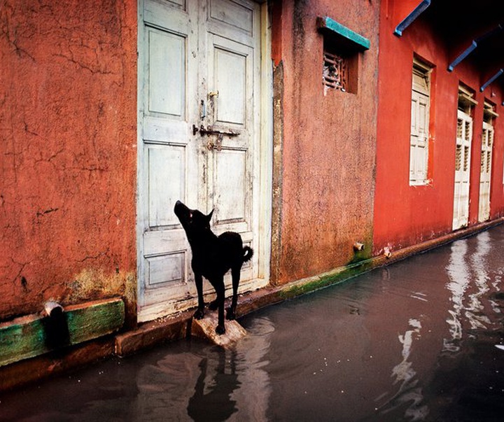 Gallery of Photography by Steve McCurry - USA