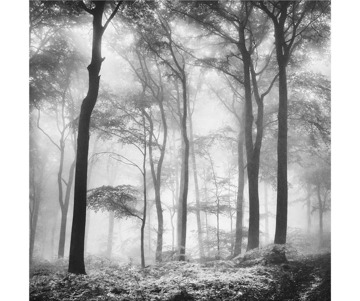 Gallery of Photography by Carsten Velten - Germany