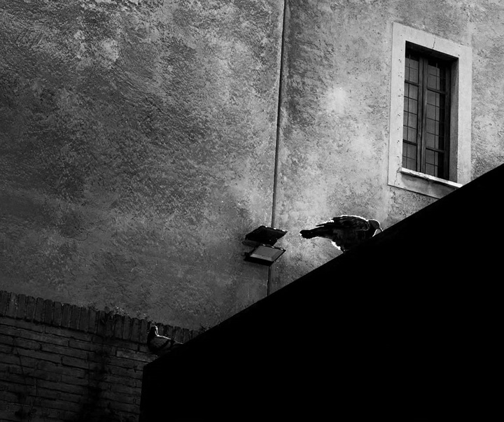 Gallery of Photography by Edgar Lascurain - Mexico