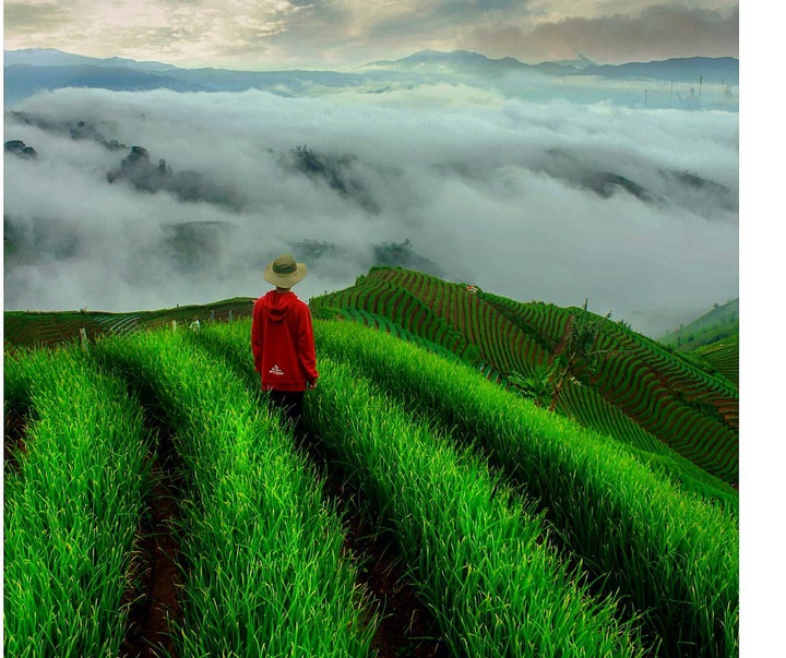 Gallery of Photos by Okka Supardan-Indonesia