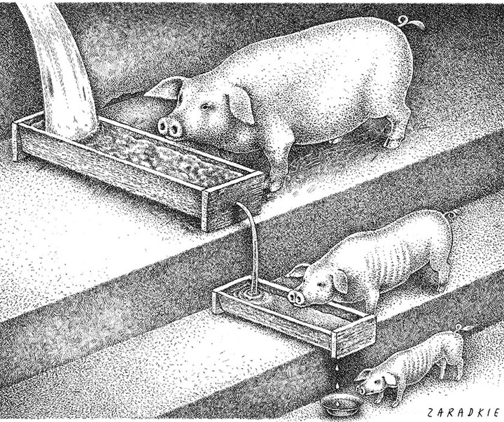 Gallery of Cartoon by Zygmunt Zaradkiewicz-Poland