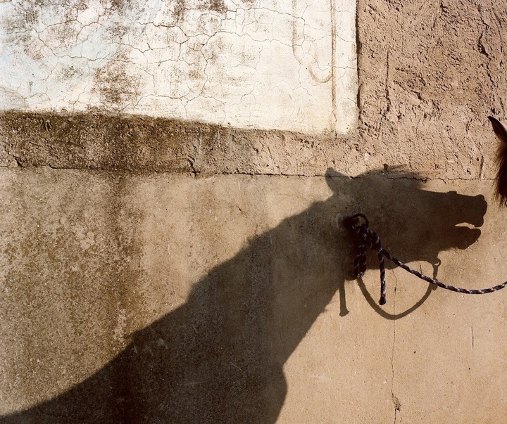 Gallery of Photography by laura pannack - UK