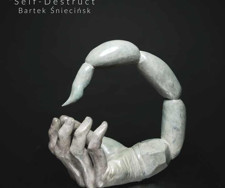 Gallery of Sculpture by Bartek Śnieciński - Poland
