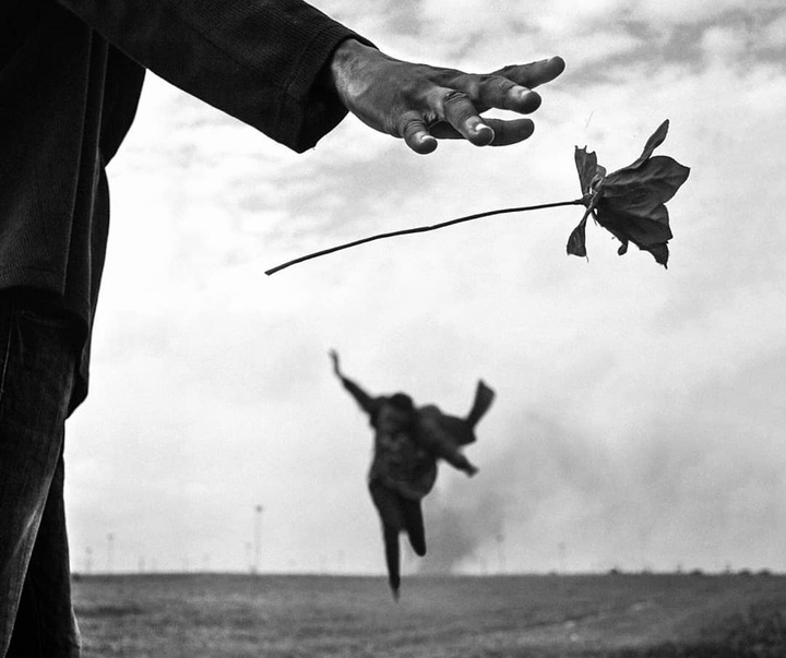 Gallery of Photography by Adeolu Osibodu-Nigeria