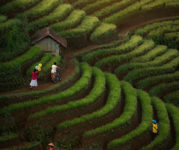 Gallery of photography by Octav Andy-Indonesia