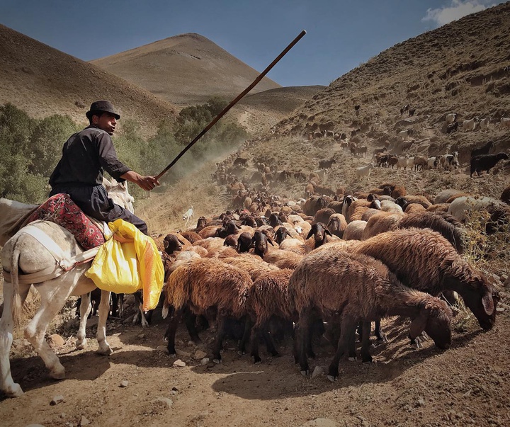 Gallery of Photos by Akbar Mehrinezhad-Iran