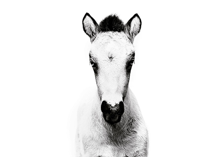 Gallery of Photography by Gigja Einars - Iceland