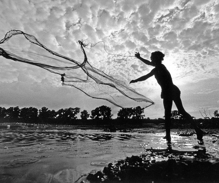 Gallery of Photography by Walter Rothwell - UK