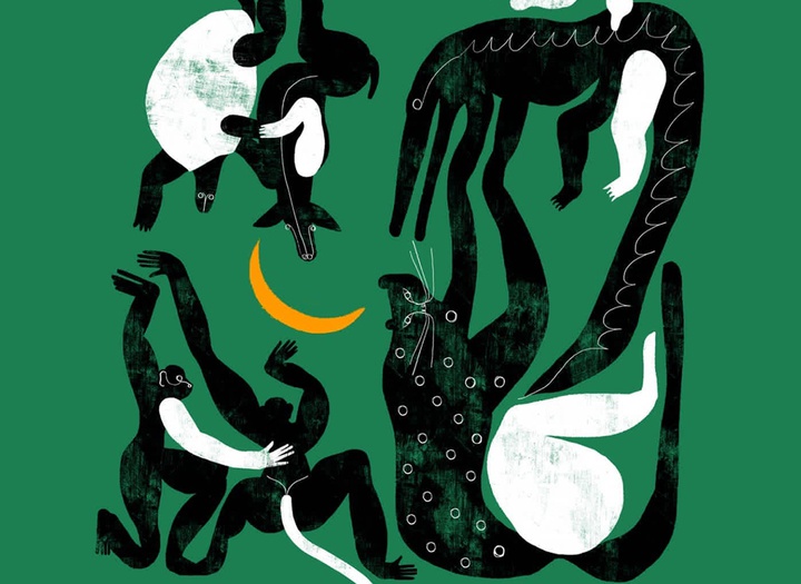 Gallery of Illustrations by amanda mijangos - Mexico