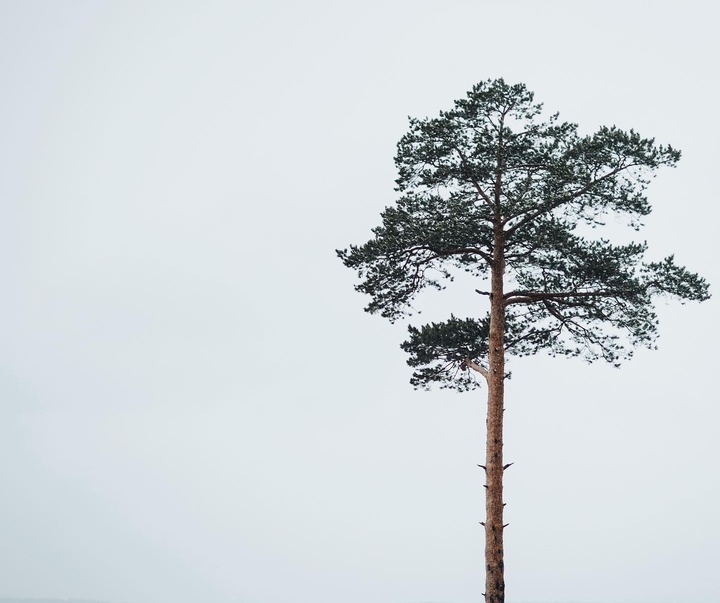 Gallery of photography by Kostya Terentev - Russia
