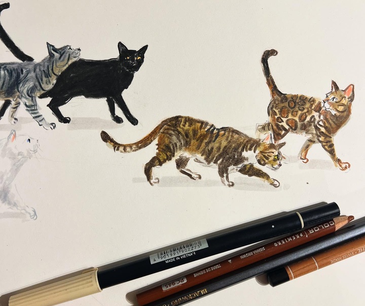 Gallery of Illustration by Jenny Bloomfield - UK