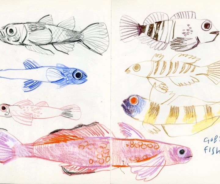 Gallery of Illustration by Felicita Sala - Italy