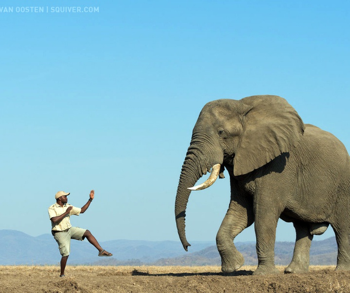 Gallery of Photography by Marsel van Oosten- Netherlands