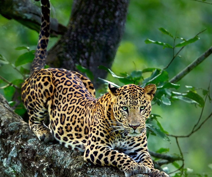 Gallery of Photography by Mithun Hunugund