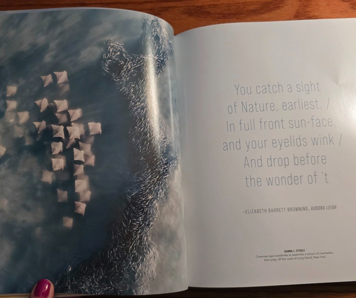Gallery of Photography by Joanna Steidle - USA