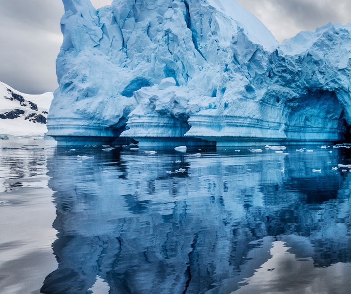 Gallery of Photography by Paul Nicklen - Canada