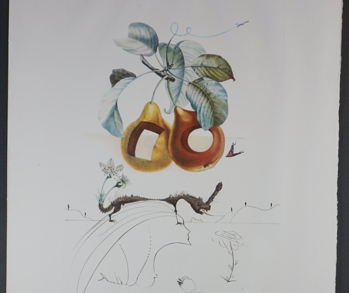 Gallery of Salvador Dali lithographs and metal engravings-Spain