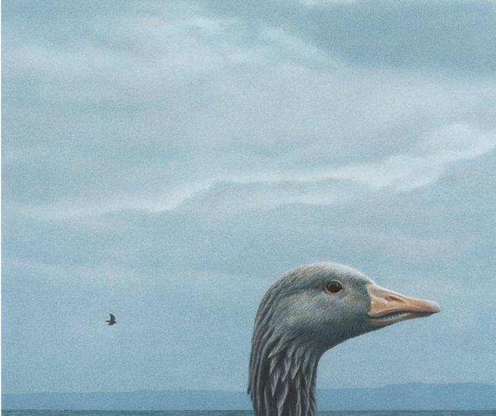 Quint Buchholz